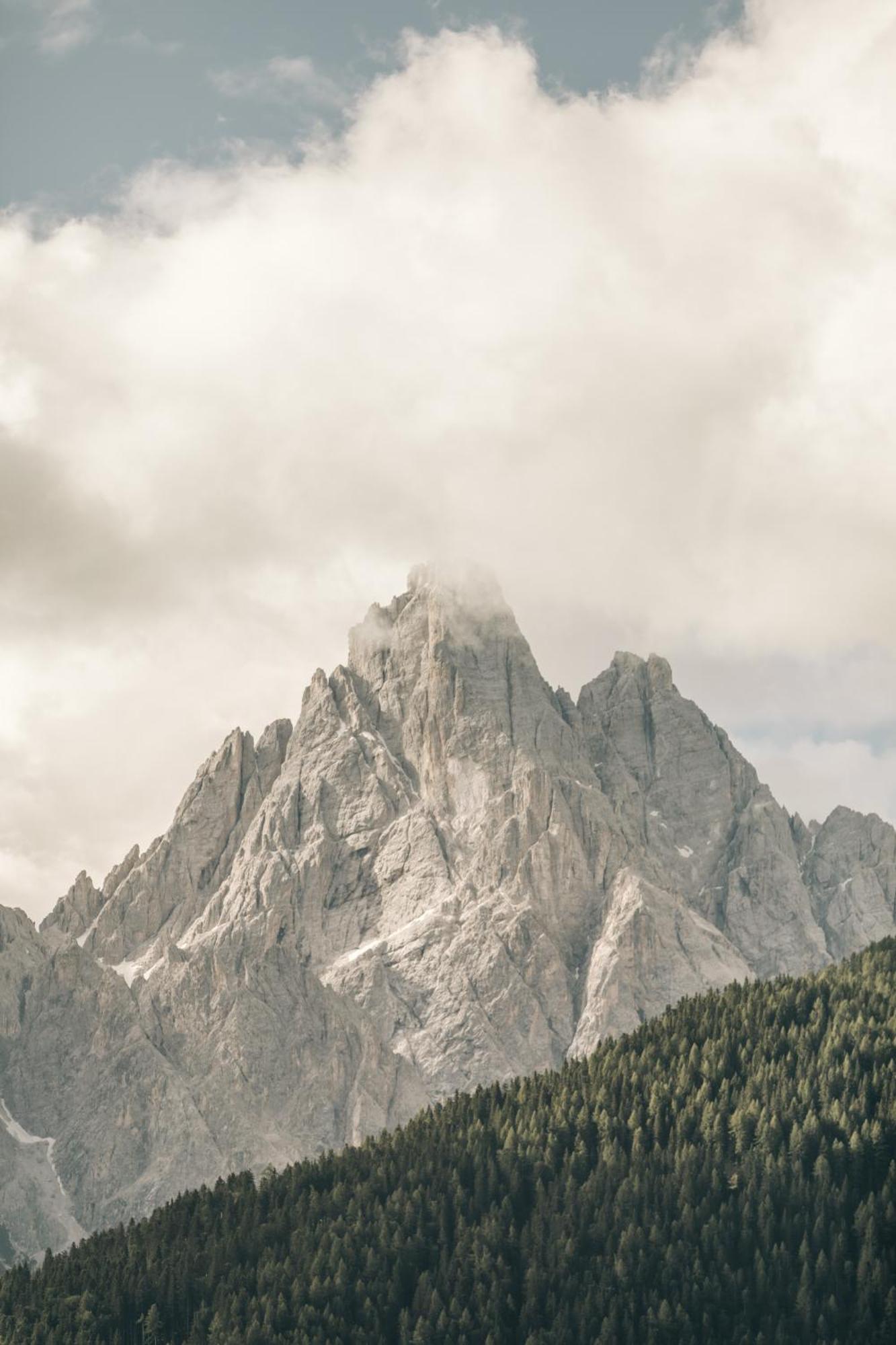 Naturhotel Leitlhof San Candido Exterior foto